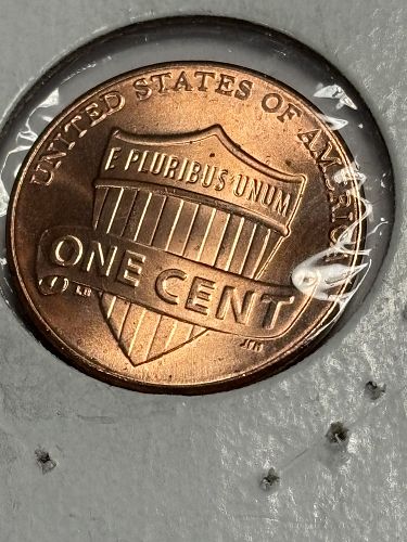 2024 P Lincoln Shield Cent Small Cents