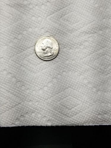 2014 P Everglades Quarter