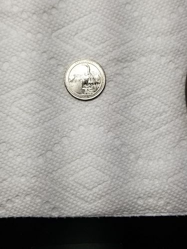 2014 P Everglades Quarter
