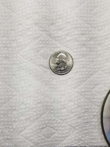 2014 D Everglades Quarter