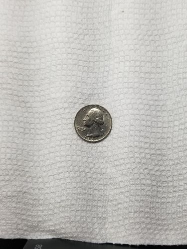 1981 P Washington Quarter