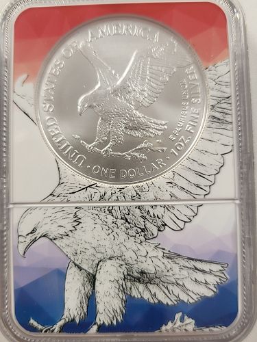 2025 P Silver Eagle Eagle Privy NGCX Mint State 10