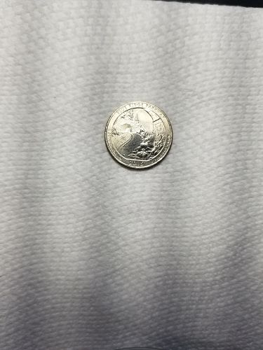 2015 P Blue Ridge Mountains Quarter