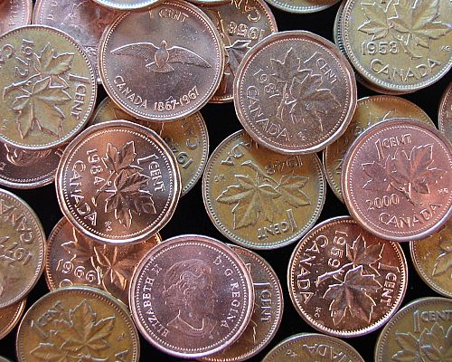 Canada 50-Coin Roll Copper Cents Avg Circ