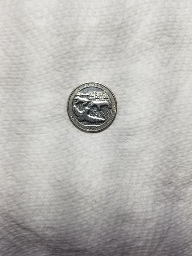 2017 D Effigy Mounds