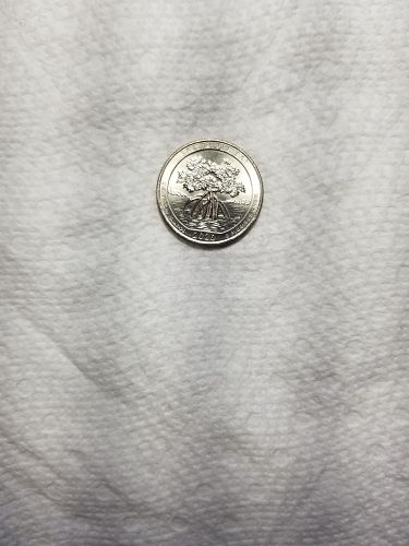 2020 P Salt River Bay