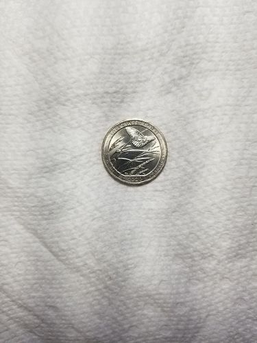 2020 P Tall Grass Praire