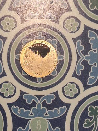 2019 S RIVER OF NO RETURN QUARTER    cf20