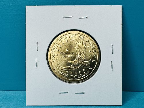 2007-D Native American Dollar