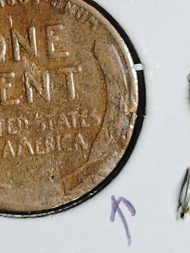 1929-S LINCOLN WHEAT CENTS OBVERSE & REVERSE LAMINATIONS
