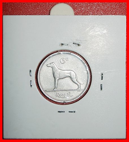 Ⰶ GREAT BRITAIN (1942-1969): IRELAND ★ 6 PENCE 1961 IRISH WOLFHOUND! IN HOLDER!