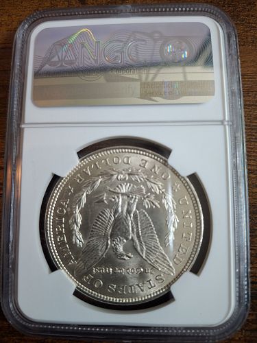 Nice 21P Morgan