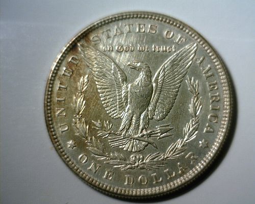 1880   SILVER  MORGAN  DOLLAR  CIRCULATED   NICE LOOKING COIN!!!
