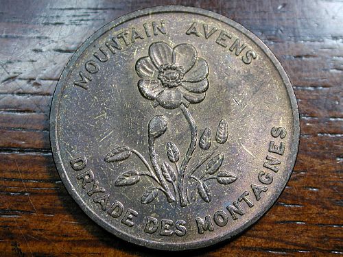 Northwest Territory's  Mountain AVENS token NICE !