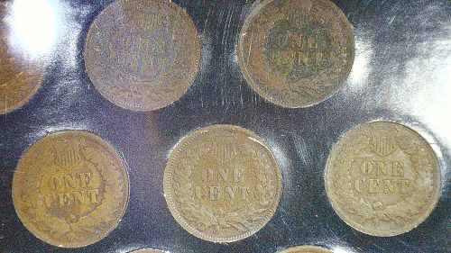 Two Centuries of Indian Head Cents 10 Coins