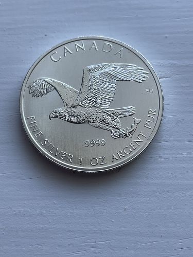 2014 BIRDS OF PREY BALD EAGLE SILVER COIN