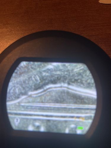 Anna May Wong quarter cod error doubling e error double die error