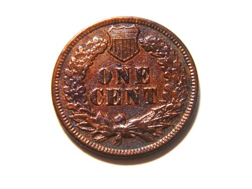 1891 Indian Head Cent with *Rainbow Toning*