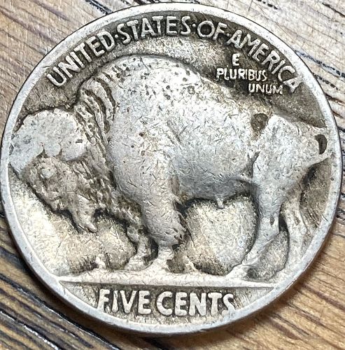 1919 Buffalo nickel in FINE condition