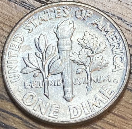 1955 MS65 Roosevelt dime fresh from the roll key date lowest minted of the series