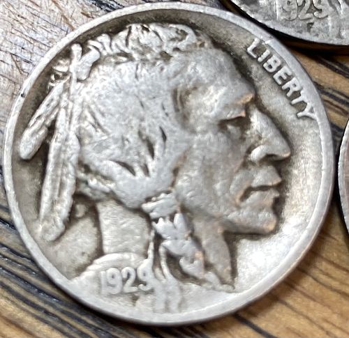 1929D/P/S buffalo nickel in FINE-VERY FINE condition all three mints lot 29pds