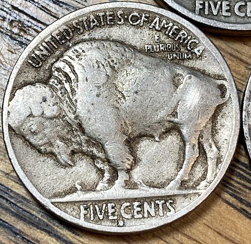 1929D/P/S buffalo nickel in FINE-VERY FINE condition all three mints lot 29pds