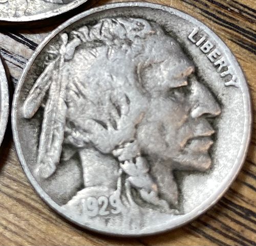 1929D/P/S buffalo nickel in FINE-VERY FINE condition all three mints lot 29pds