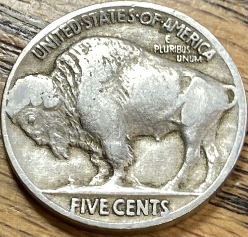 1925 buffalo nickel in FINE condition