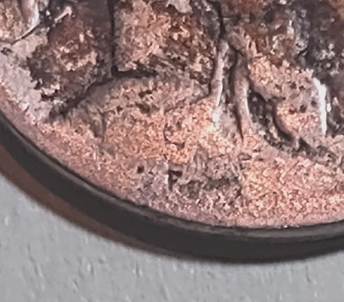 1919 P Buffalo Nickel