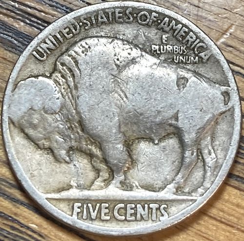 1921 Buffalo nickel in FINE condition