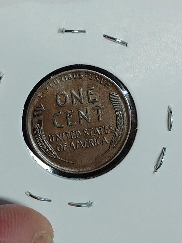 1918-d lincoln wheat cent ms-62 brown rotated die on reverse