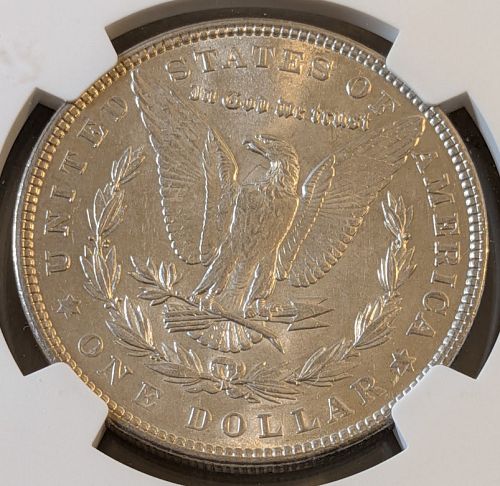 1902 Morgan Dollar