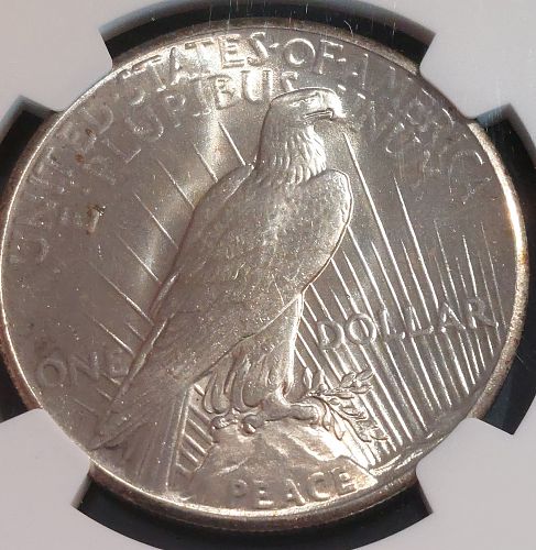 1928 PEACE 1 Dollar KEY DATE Struck Thru ERROR Just Graded NGC MS64 Slabbed Coin