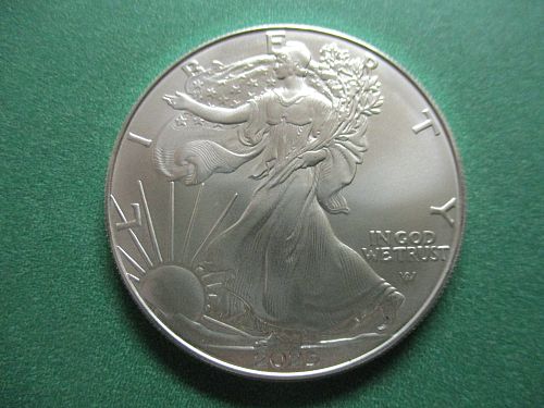 2025  American Silver Eagle.  Item: E 25.