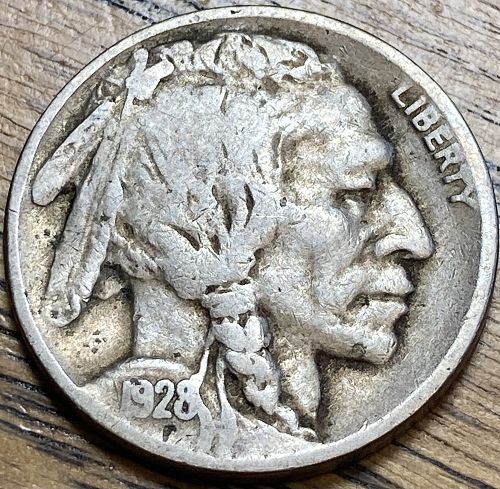 1928D buffalo nickel in FINE condition