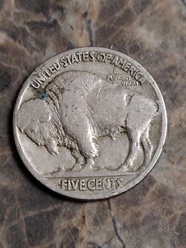 1916 Buffalo Nickel