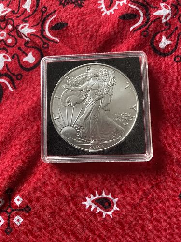 2024-W-American Eagle with Star Privy Mark