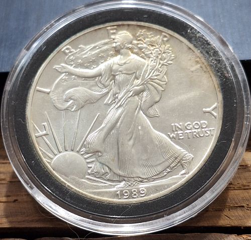 1989 Silver Eagle