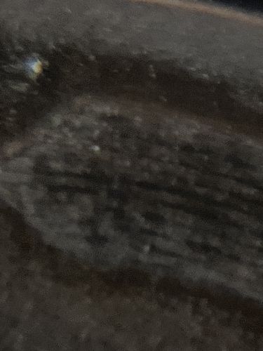 1921 S Lincoln wheat Cent with some very nice details XF Condition see photos