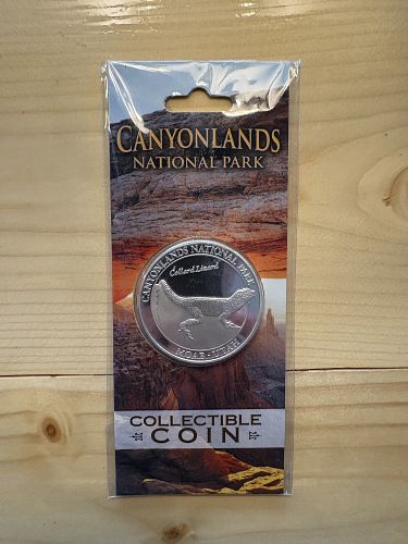 Canyonland National Park (NOT SILVER). Moab , Utah Collard Lizard