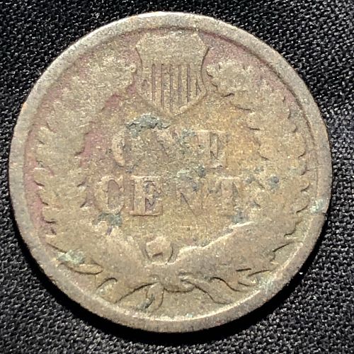 1881-P Indian Head Cent - AG (About Good) condition