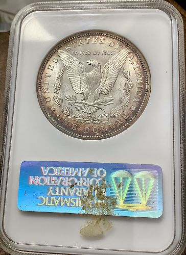 1884-O Morgan Silver Dollar NGC MS64 Toned Superb NGC No Bar Code Fatty PQ