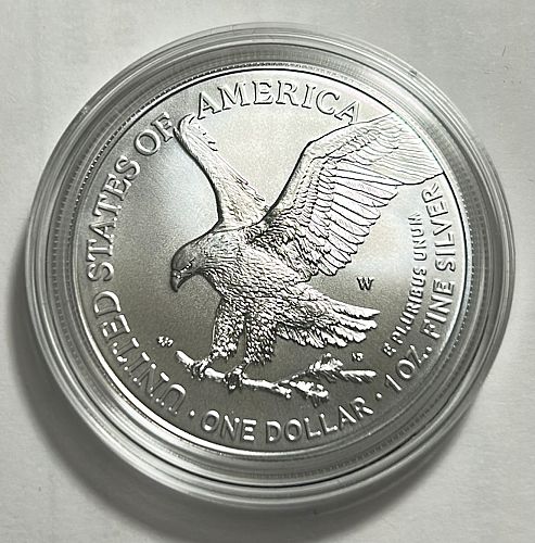 2023 W American Silver Eagle Bullion Coins : Burnished Uncirculated  S-1
