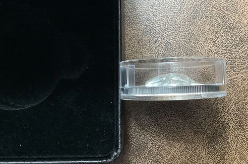 2022 .9999 Silver 31.62g Canada Proof Timber Wolf Extraordinarily Hi Relief OGP