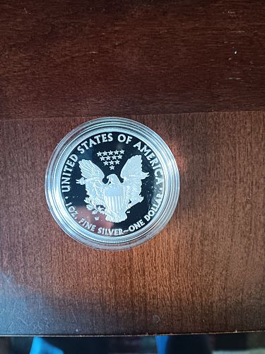 2007 American Silver Eagle