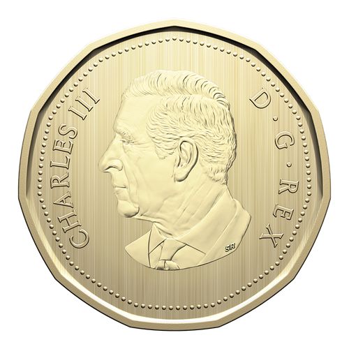 2026 Canadian Specimen Set  "Barn Owl"