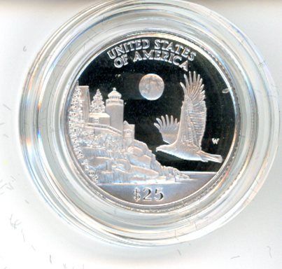 Platinum 4-coin set