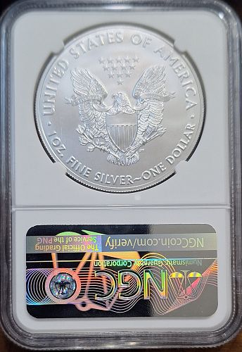 2018 Silver Eagle