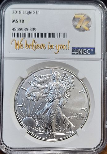 2018 Silver Eagle