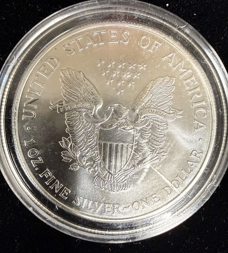 1999 American Silver Eagle 1oz, Enameled, (17164)